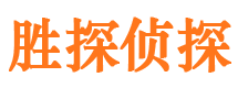 涪城侦探公司